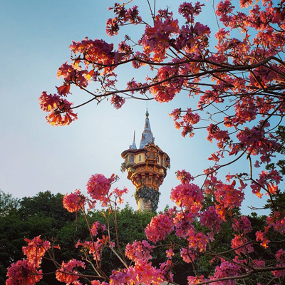 Rapunzel's Tower at Magic Kingdom